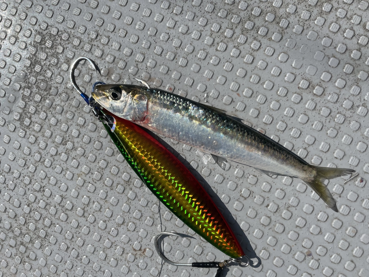 潮流 30-300 - 27,700円 : 海釣り、船釣り専門店の沖三昧 ,釣具